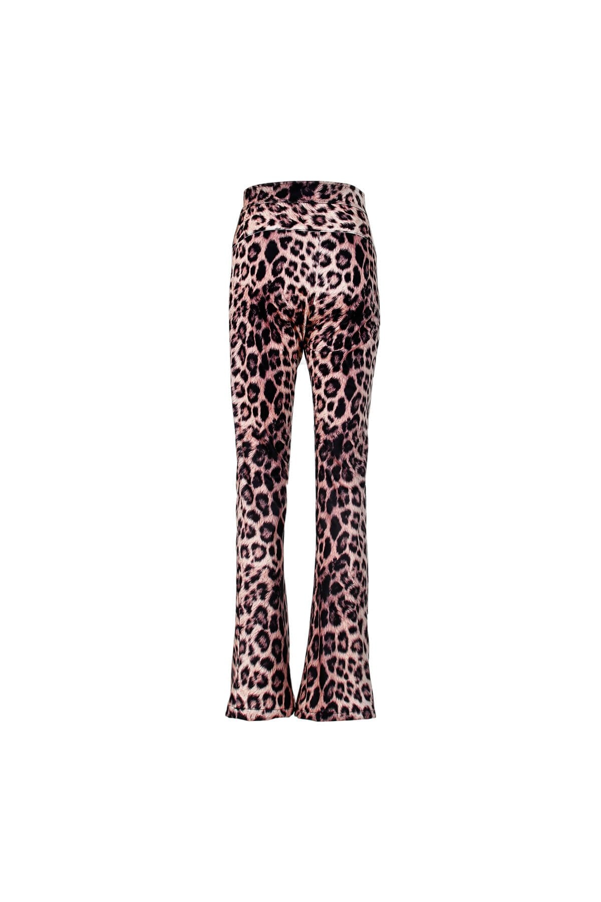 Leopardess Ski Jacket &amp; Pants Set
