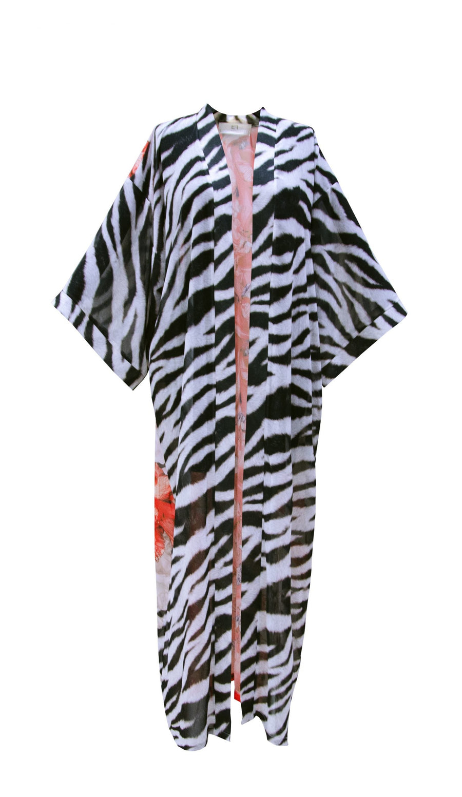 Zebra Fish